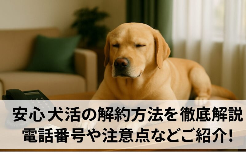 安心犬活解約方法を紹介