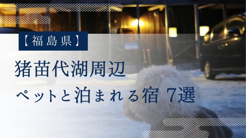 ペットと泊まれる宿7選