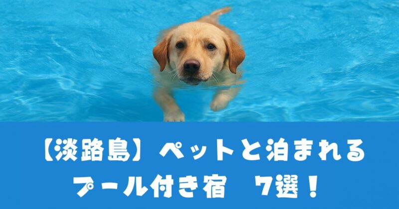 淡路島ペットと泊まれるプール付き宿