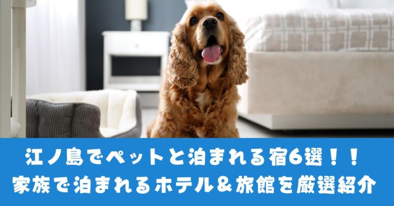江ノ島近隣ペットと泊まれる宿