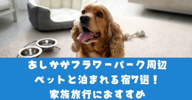 あしかがフラワーパーク近隣ペット宿