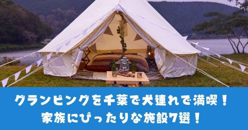 千葉でペットと泊まれるグランピング