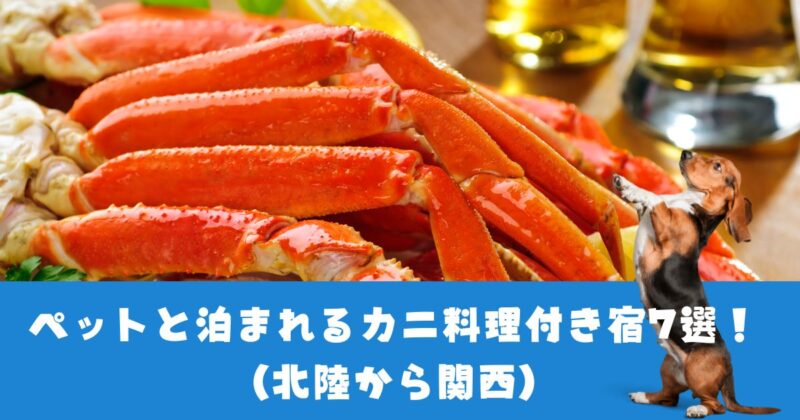 ペットと泊まれるカニ宿を紹介してます