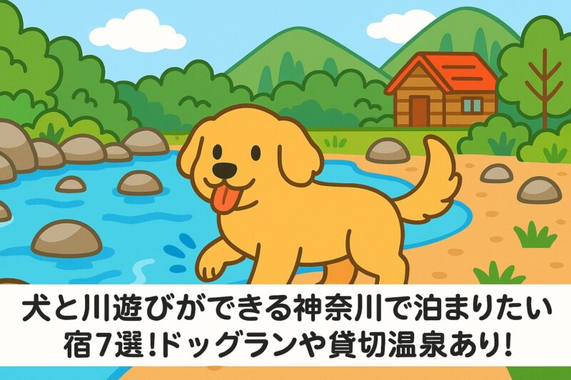 川遊びができるペット宿